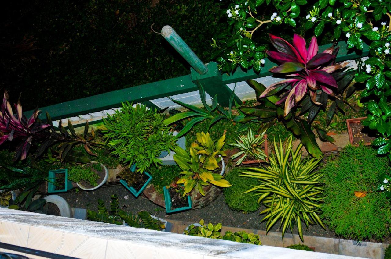 Myr-O Homestay Kombichankulama Extérieur photo