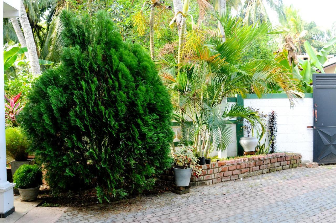 Myr-O Homestay Kombichankulama Extérieur photo